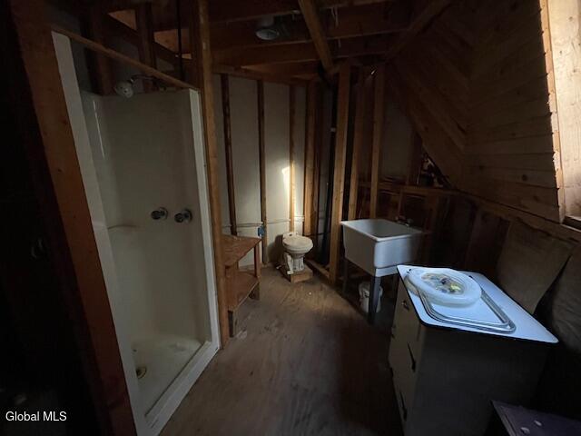 1884 Goodnow Flow Road Newcomb, NY 12852 - Photo 10 of 23 bath