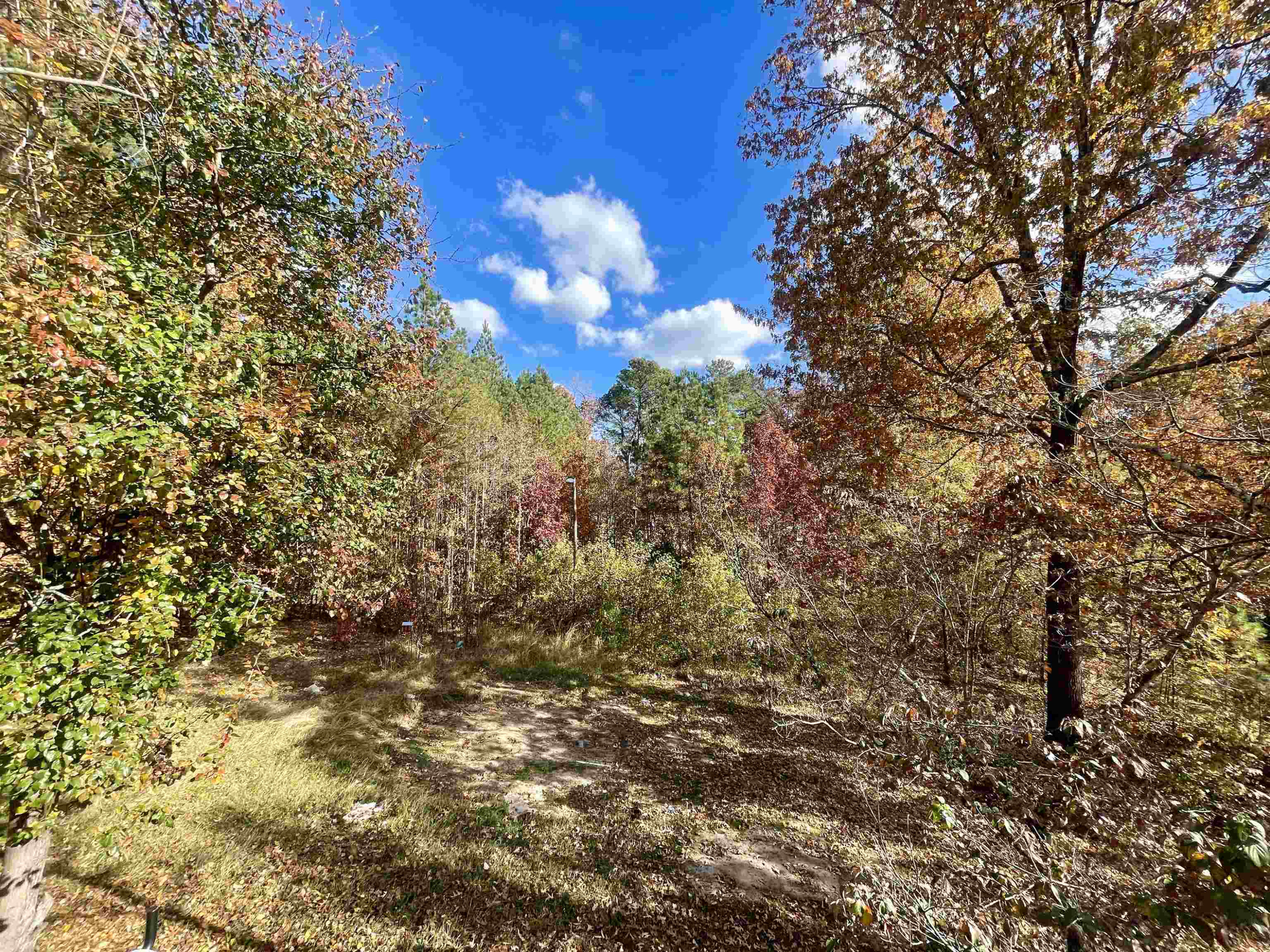 5017 Robinwood Road Durham, NC 27713 - Photo 25 of 31 a view of a tree