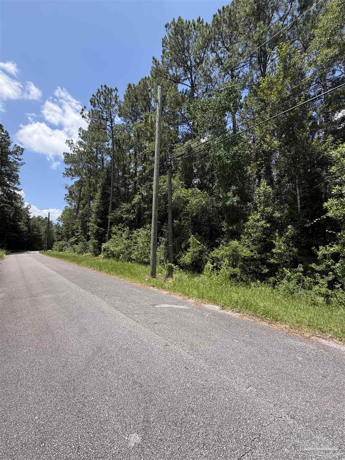 0 Patterson Road Milton, FL 32570 - Photo 2 of 8