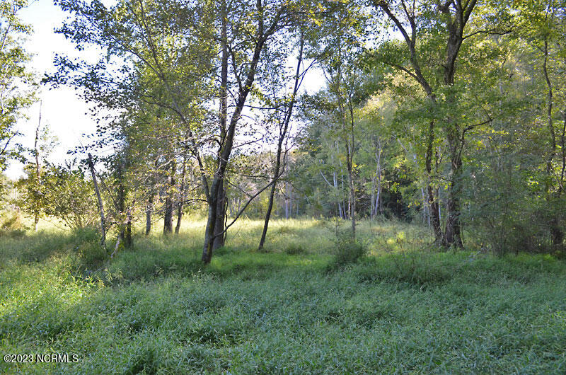 1 Old Mill Road Stantonsburg, NC 27883 - Photo 13 of 15 22