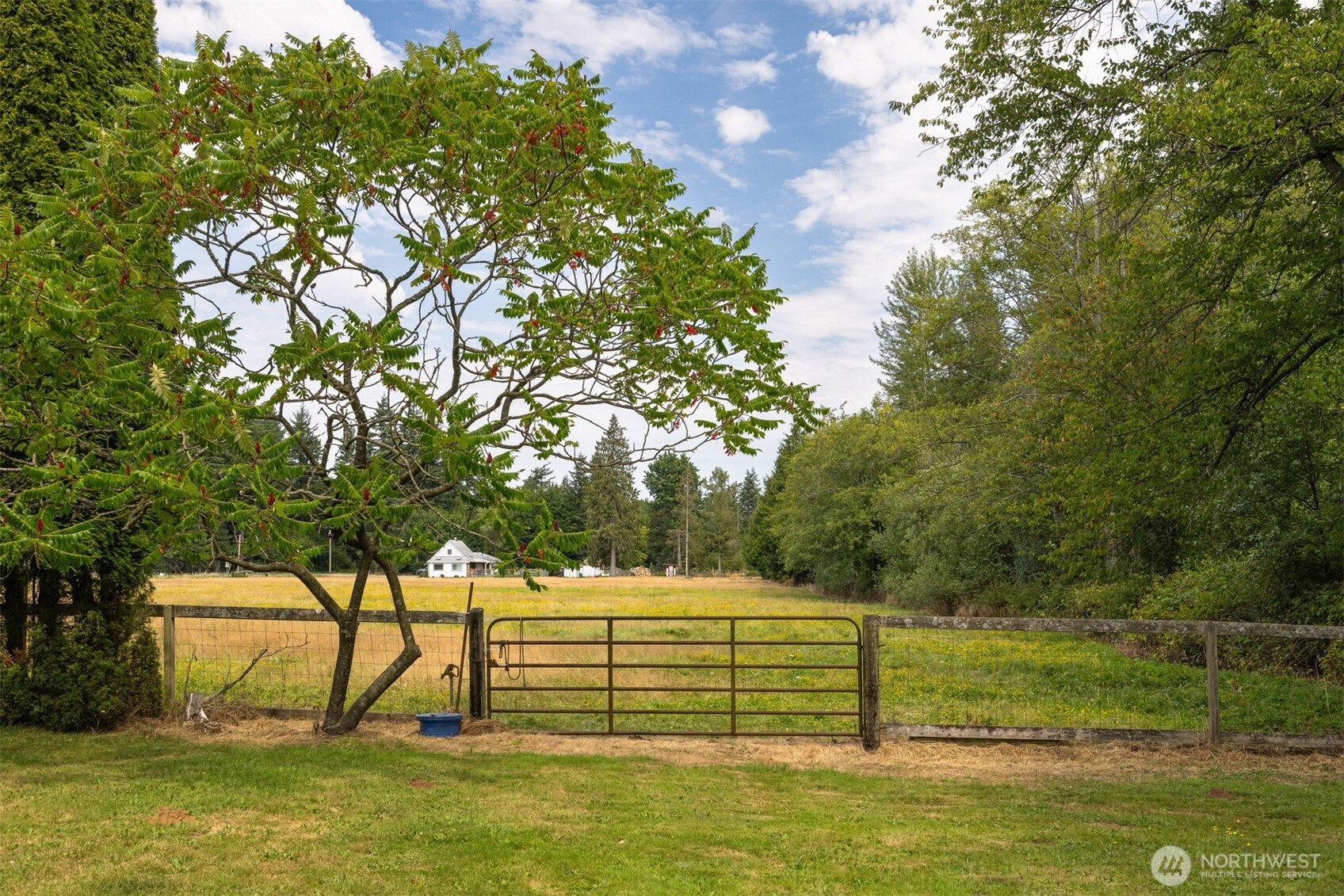 7442 Woodland Road Ferndale, WA 98248 - Photo 31 of 38