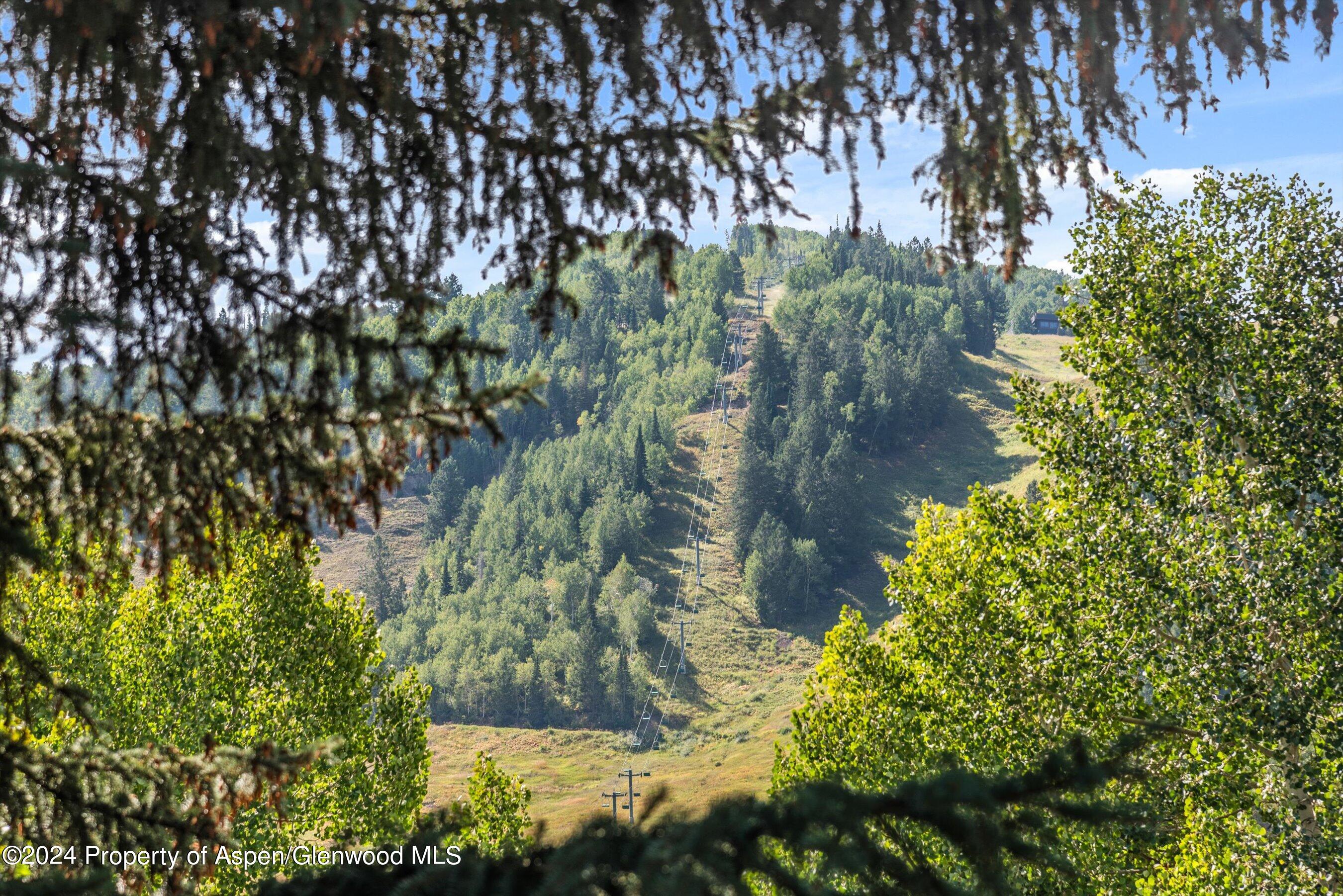 124 East Durant Avenue, Unit 1 Aspen, CO 81611 - Photo 6 of 11