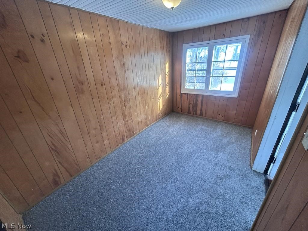 1478 Sherbrook Road, Unit LOWR Cleveland, OH 44121 - Photo 11 of 13 Empty room featuring wood walls and carpet floors