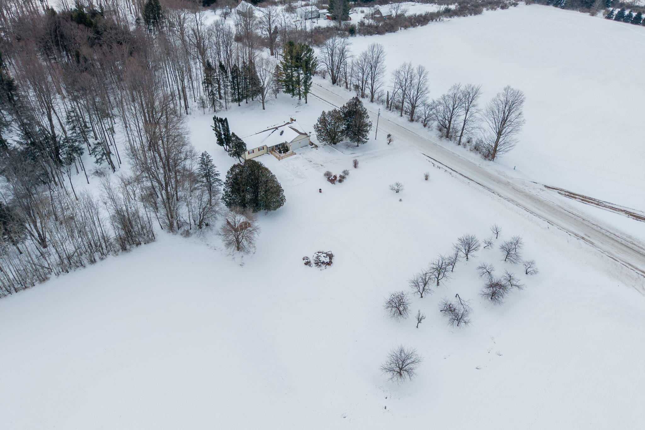 8876 20th Avenue Remus, MI 49340 - Photo 8 of 41 9-web-or-mls-DJI_20260210005209_0208_D-E