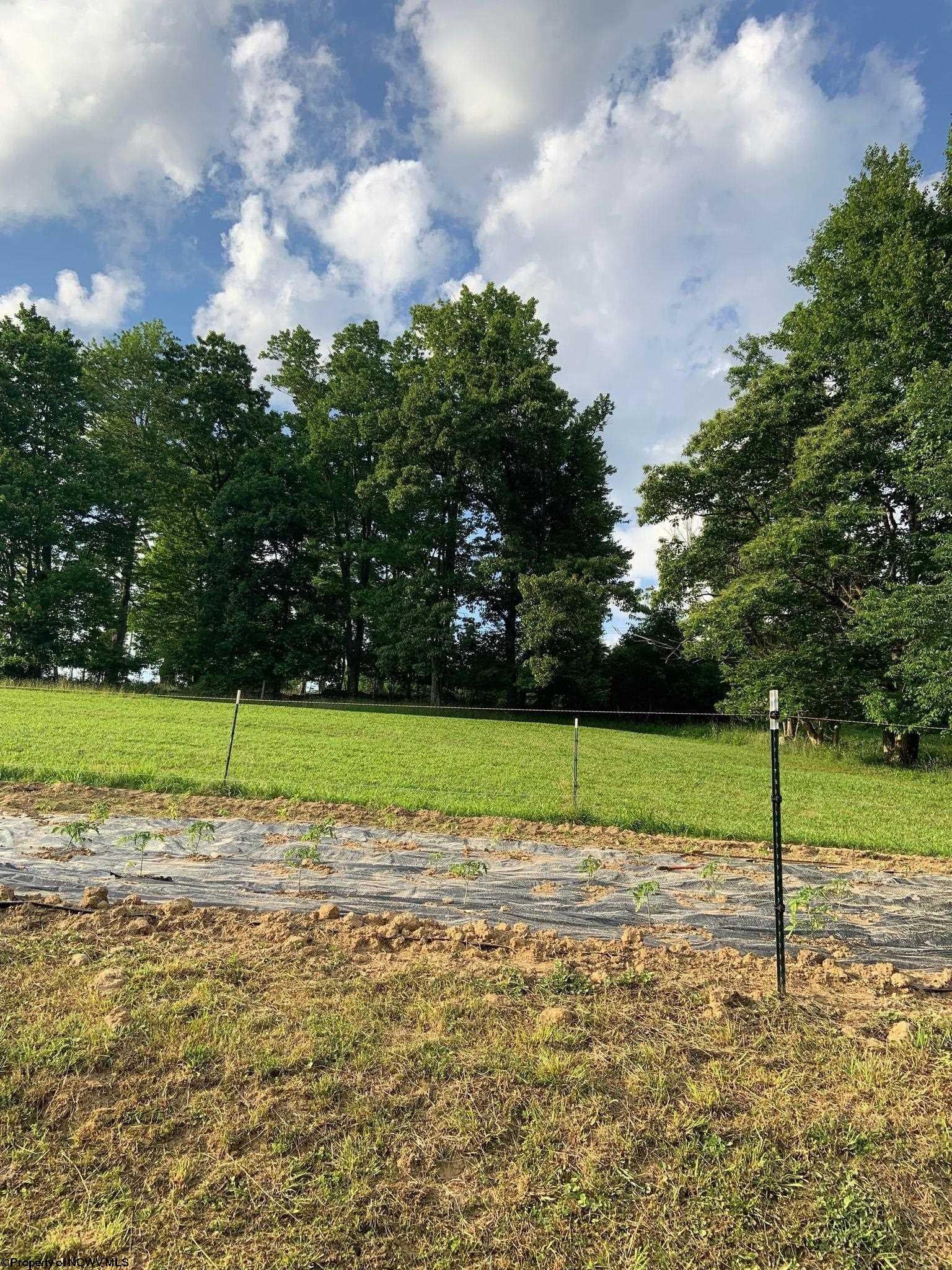 3427 Little Sand Run Road Buckhannon, WV 26201 - Photo 12 of 28 Gallery Image 12