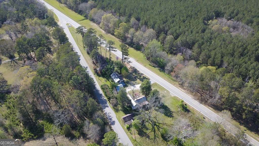 13162 Augusta Highway Sparta, GA 31087 - Photo 2 of 28 a view of a lush green forest with large trees