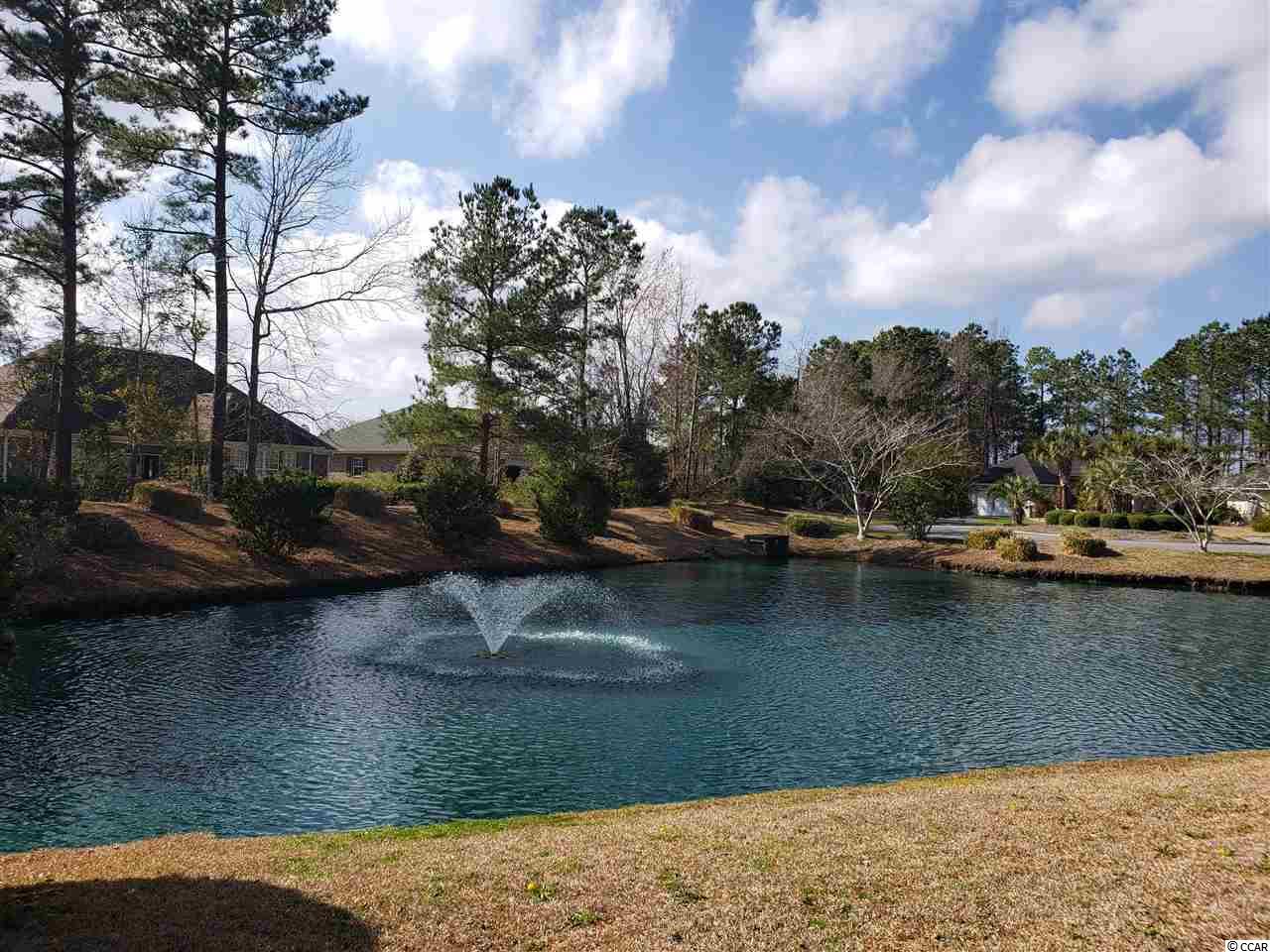 10103 Duval Drive Murrells Inlet, SC 29576 - Photo 14 of 40