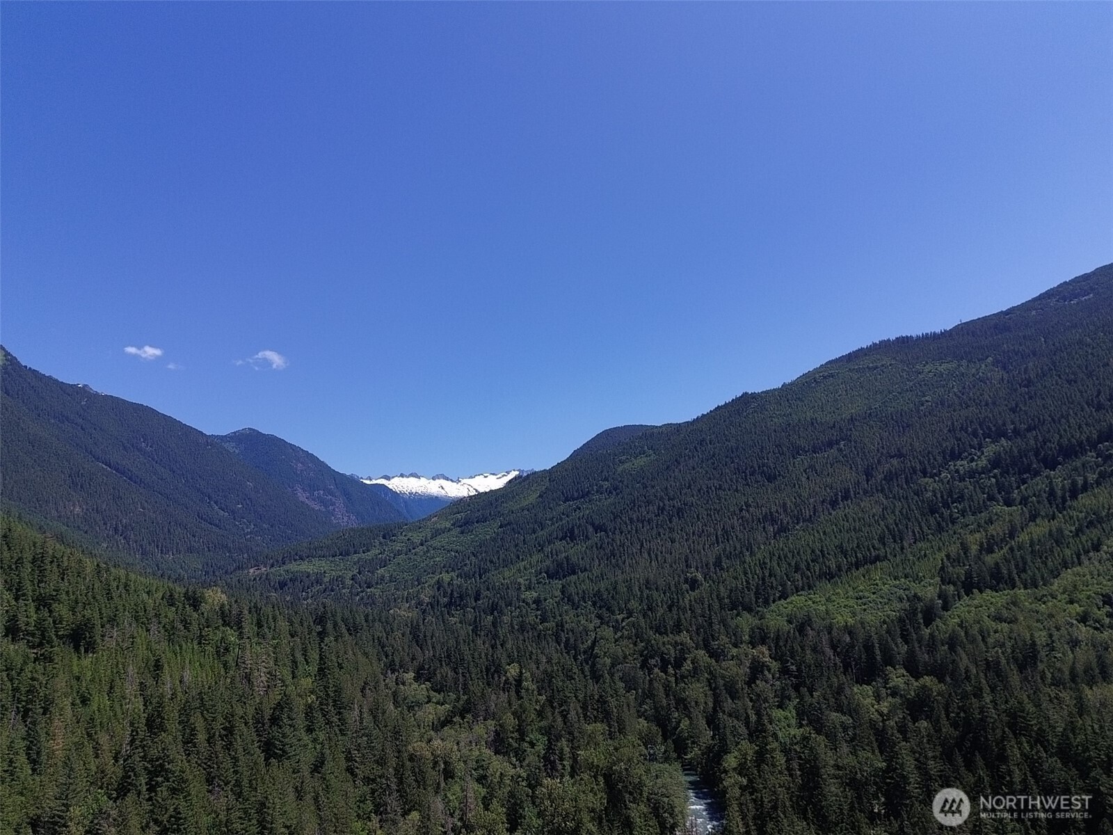 0 Cascade River Road, Unit D1203 Marblemount, WA 98267 - Photo 24 of 32 a view of a lush green forest with a mountain in the background