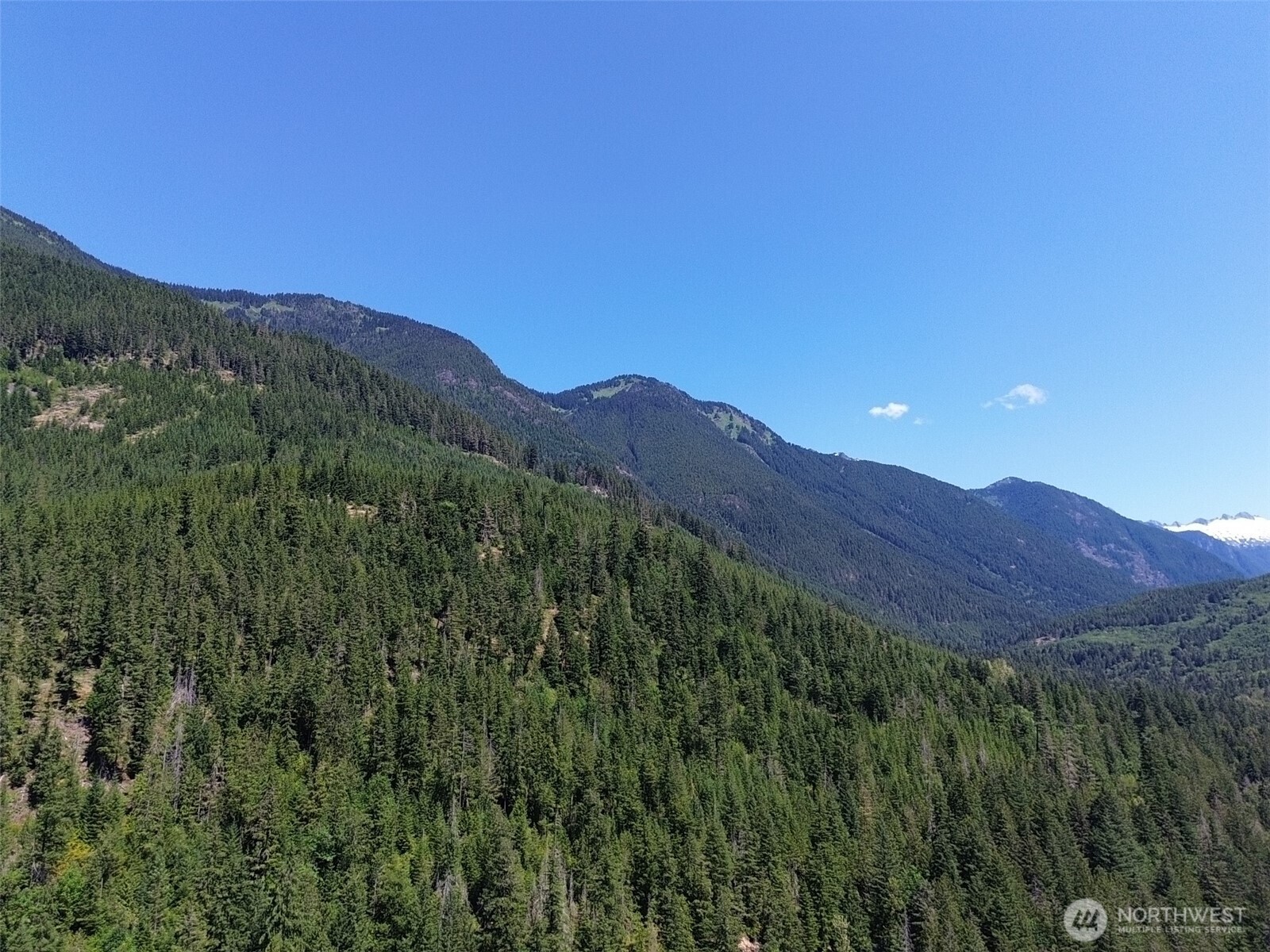0 Cascade River Road, Unit D1203 Marblemount, WA 98267 - Photo 25 of 32 a view of a lush green hillside and a building