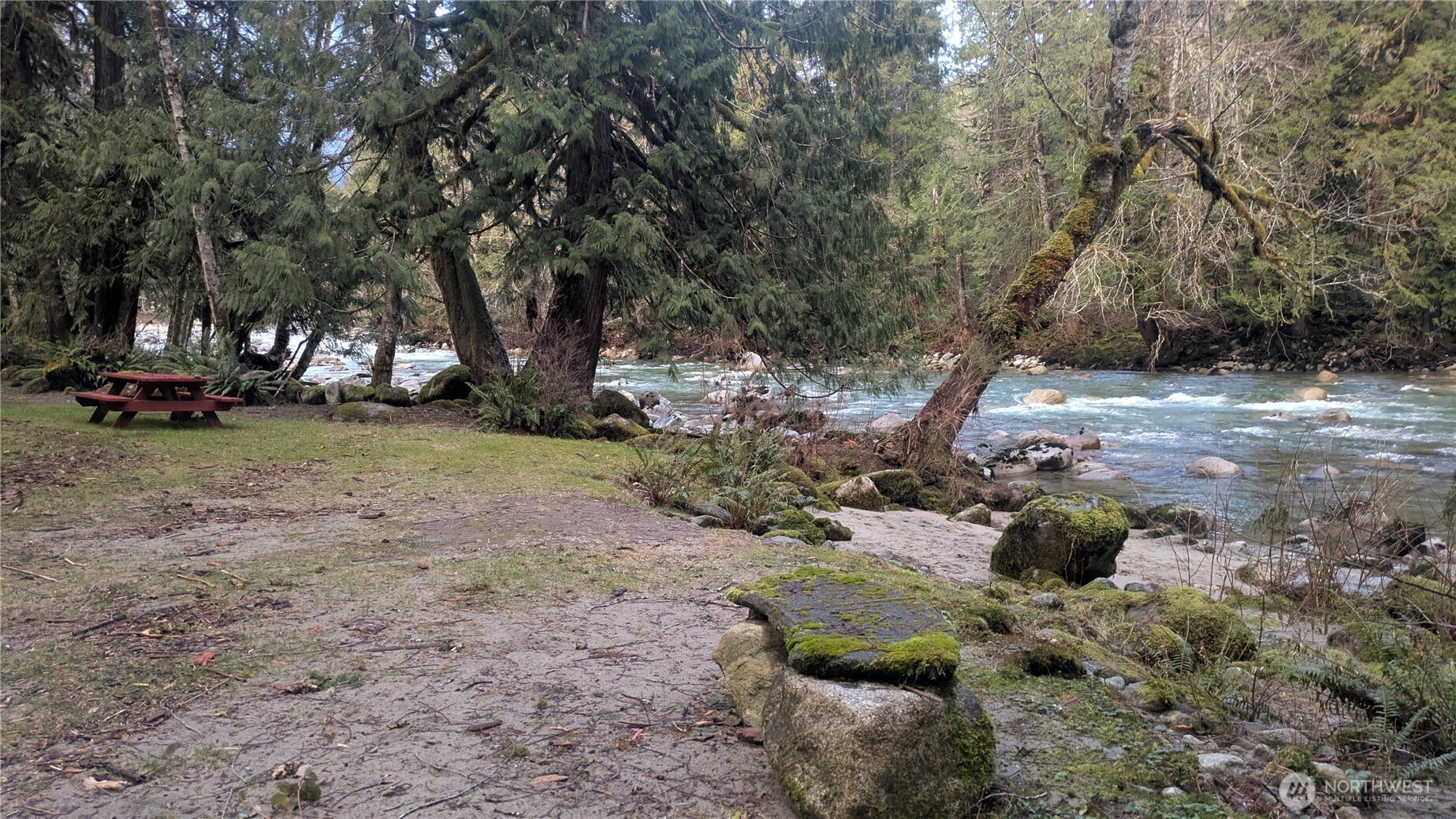 0 Cascade River Road, Unit D1203 Marblemount, WA 98267 - Photo 31 of 32 a view of a tree in the middle of a yard