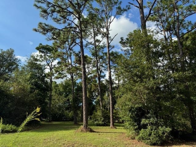 25328 Lavinia Avenue Elberta, AL 36530 - Photo 6 of 9 View