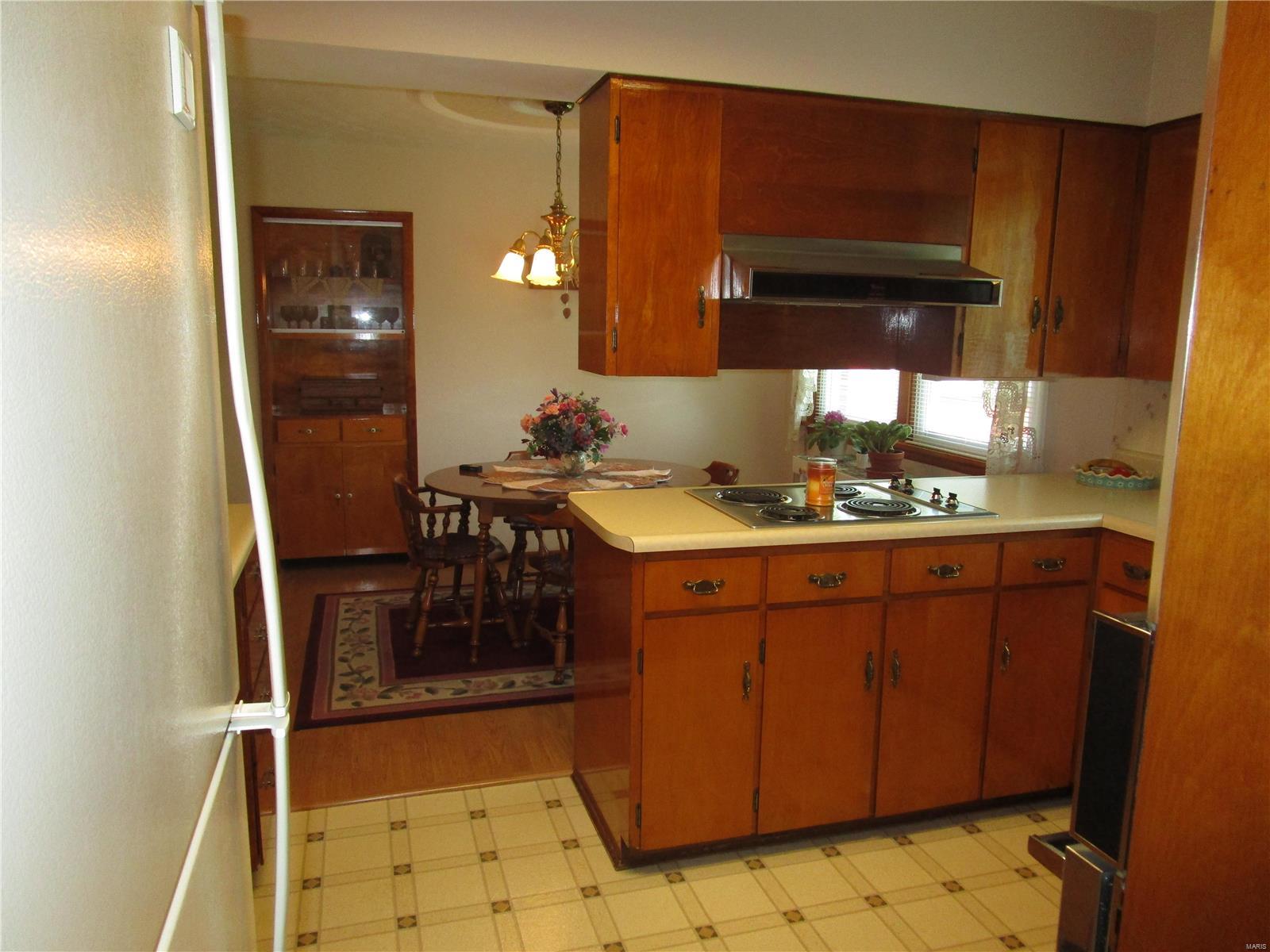 120 East Old Plank Road Chester, IL 62233 - Photo 19 of 28