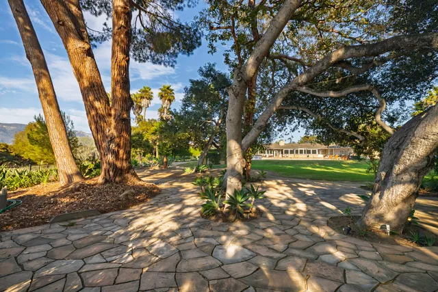 a backyard of a house with lots of green space