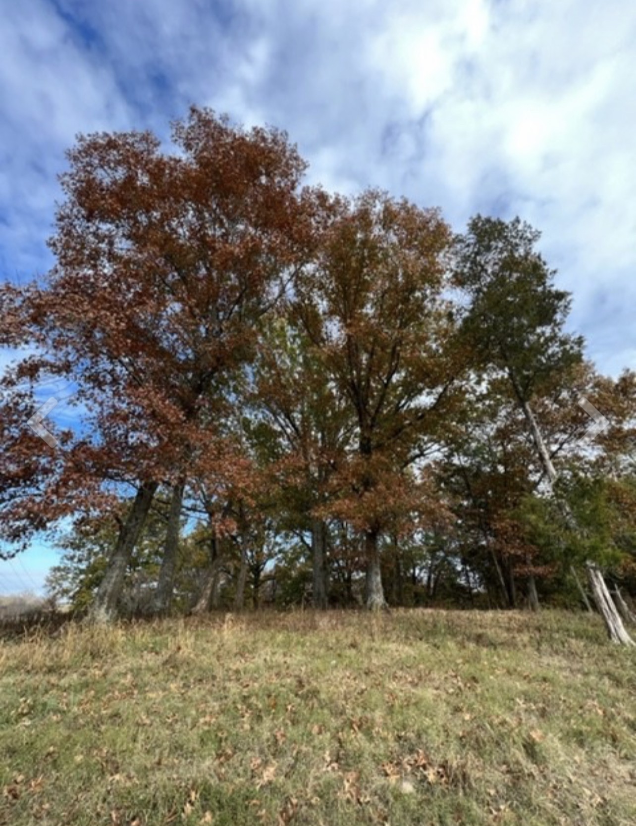 0 Corum Hill Road Castalian Springs, TN 37031 - Photo 1 of 6 Gallery Image 1
