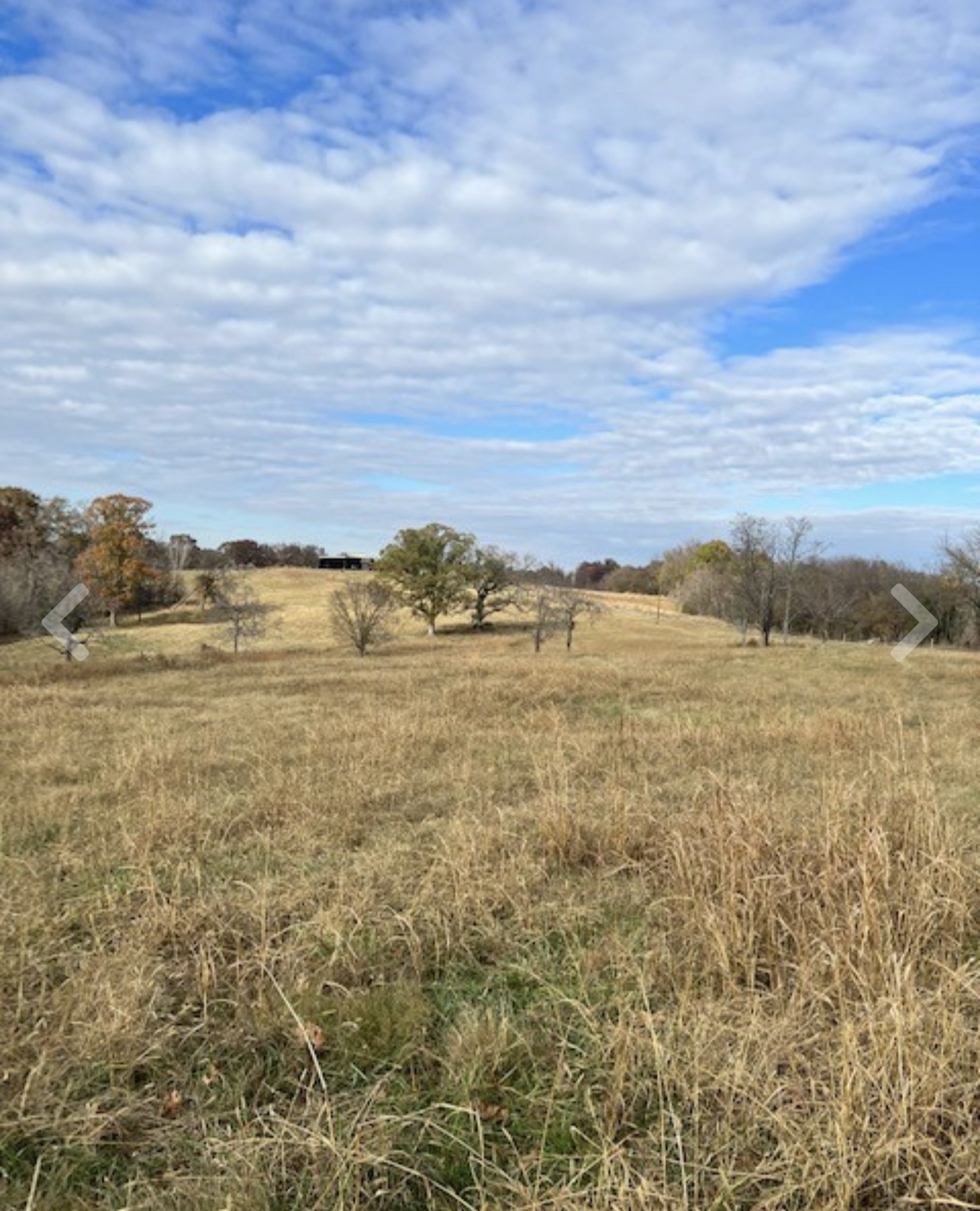 0 Corum Hill Road Castalian Springs, TN 37031 - Photo 2 of 6 Gallery Image 2