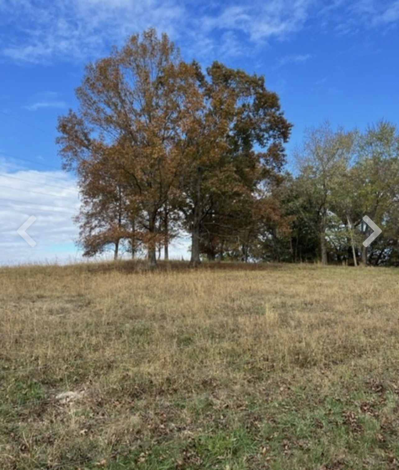 0 Corum Hill Road Castalian Springs, TN 37031 - Photo 5 of 6 Gallery Image 5