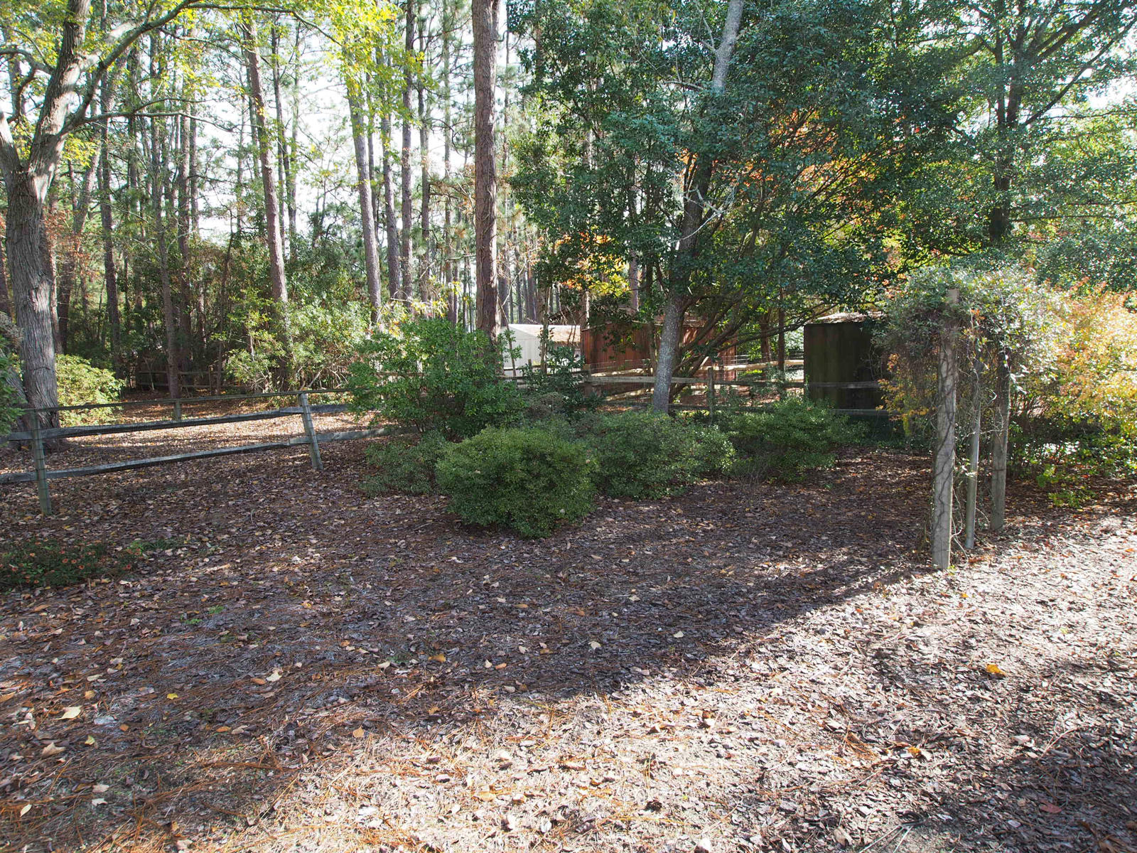 299 Turner Road Pinehurst, NC 28374 - Photo 33 of 37 yard5