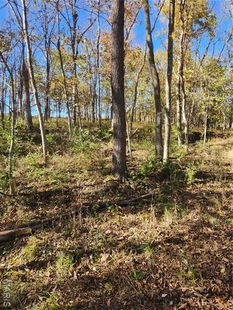 $70,000 | 0 County Road 197, Montgomery City, MO 63361
