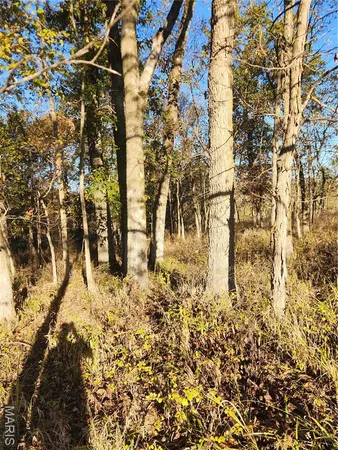 $70,000 | 0 County Road 197, Montgomery City, MO 63361