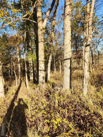 $87,500 | 0 County Road 197, Montgomery City, MO 63361