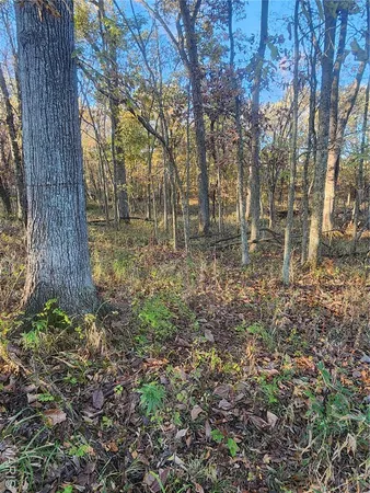 $70,000 | 0 County Road 197, Montgomery City, MO 63361