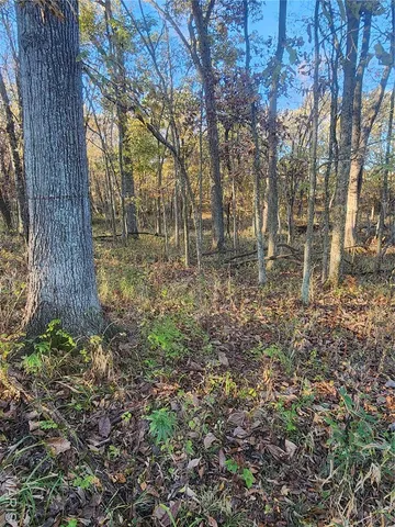 $87,500 | 0 County Road 197, Montgomery City, MO 63361