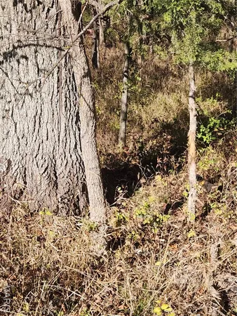 $70,000 | 0 County Road 197, Montgomery City, MO 63361