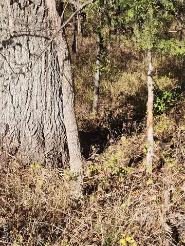 $87,500 | 0 County Road 197, Montgomery City, MO 63361