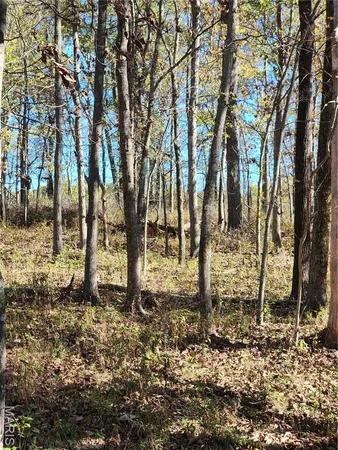 $70,000 | 0 County Road 197, Montgomery City, MO 63361