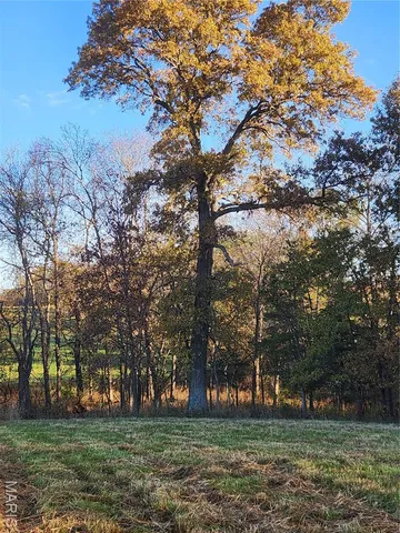 $87,500 | 0 County Road 197, Montgomery City, MO 63361