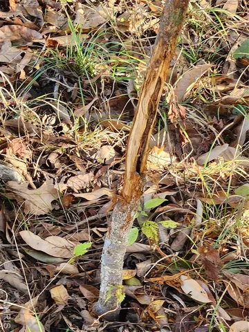 $87,500 | 0 County Road 197, Montgomery City, MO 63361