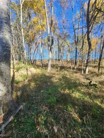 $70,000 | 0 County Road 197, Montgomery City, MO 63361