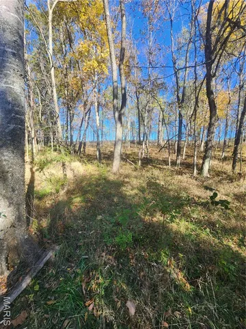 $87,500 | 0 County Road 197, Montgomery City, MO 63361