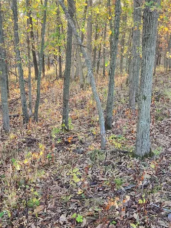 $70,000 | 0 County Road 197, Montgomery City, MO 63361