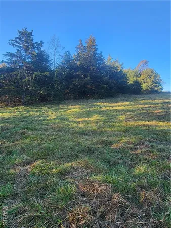 $70,000 | 0 County Road 197, Montgomery City, MO 63361