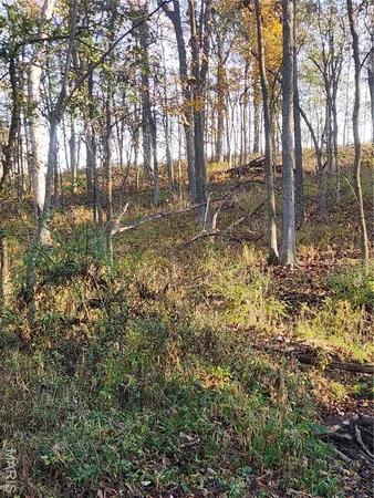 $70,000 | 0 County Road 197, Montgomery City, MO 63361