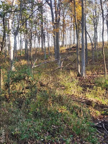 $87,500 | 0 County Road 197, Montgomery City, MO 63361