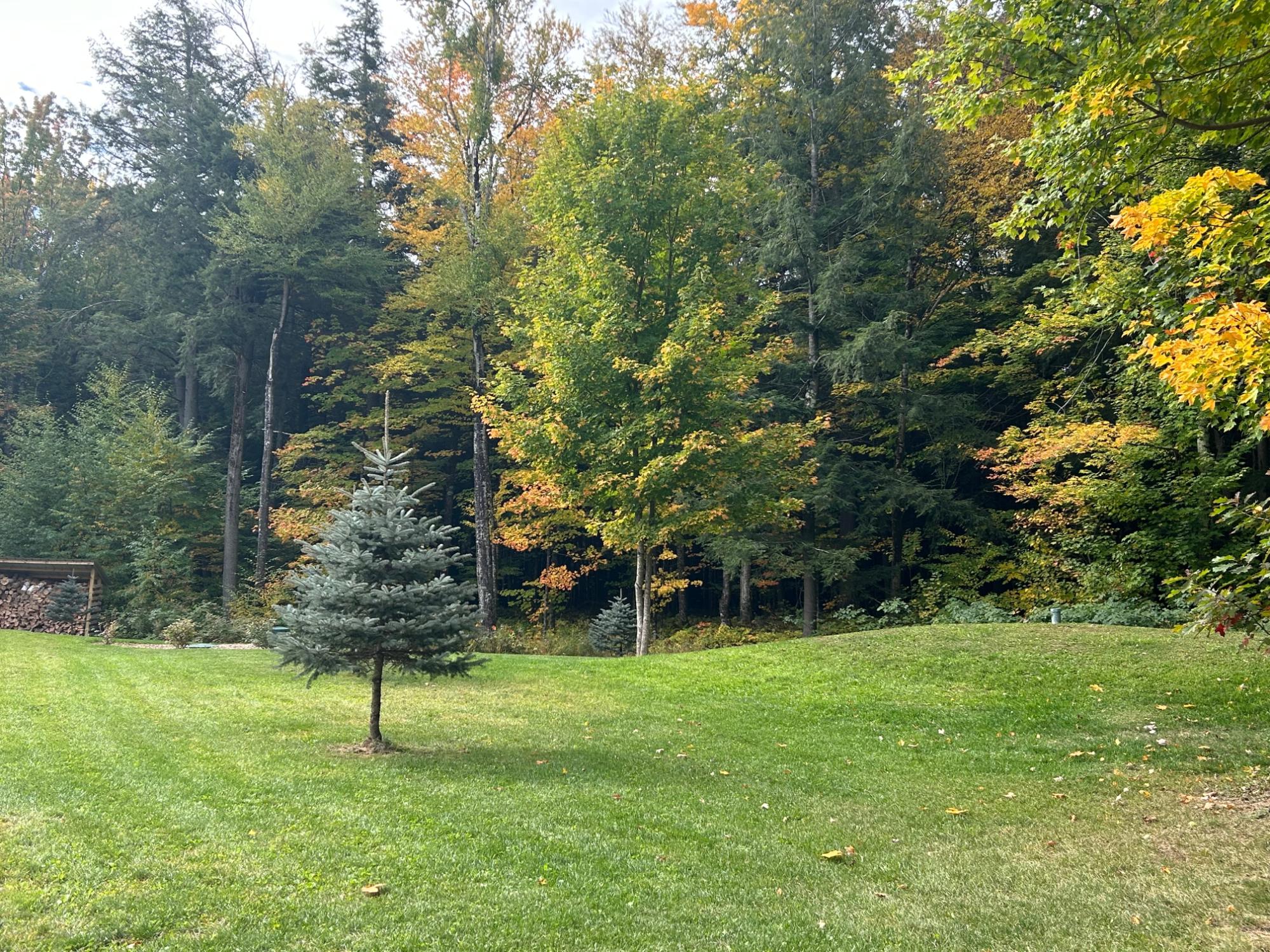 N10311 Hemlock Road Summit Lake, WI 54485 - Photo 7 of 79 Gallery Image 7