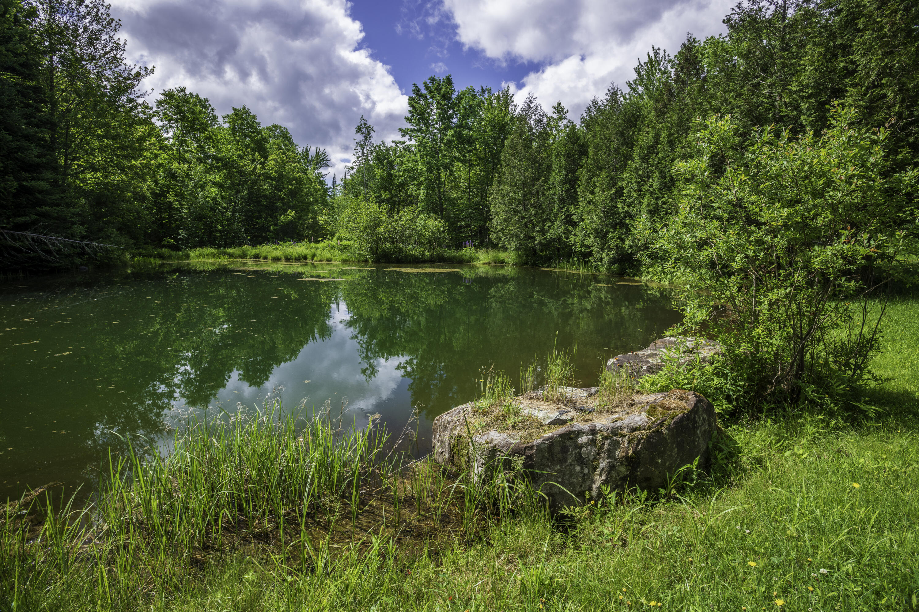 27 Brimstone Road Lagrange, ME 04453 - Photo 44 of 48 27 Brimstone Rd-68