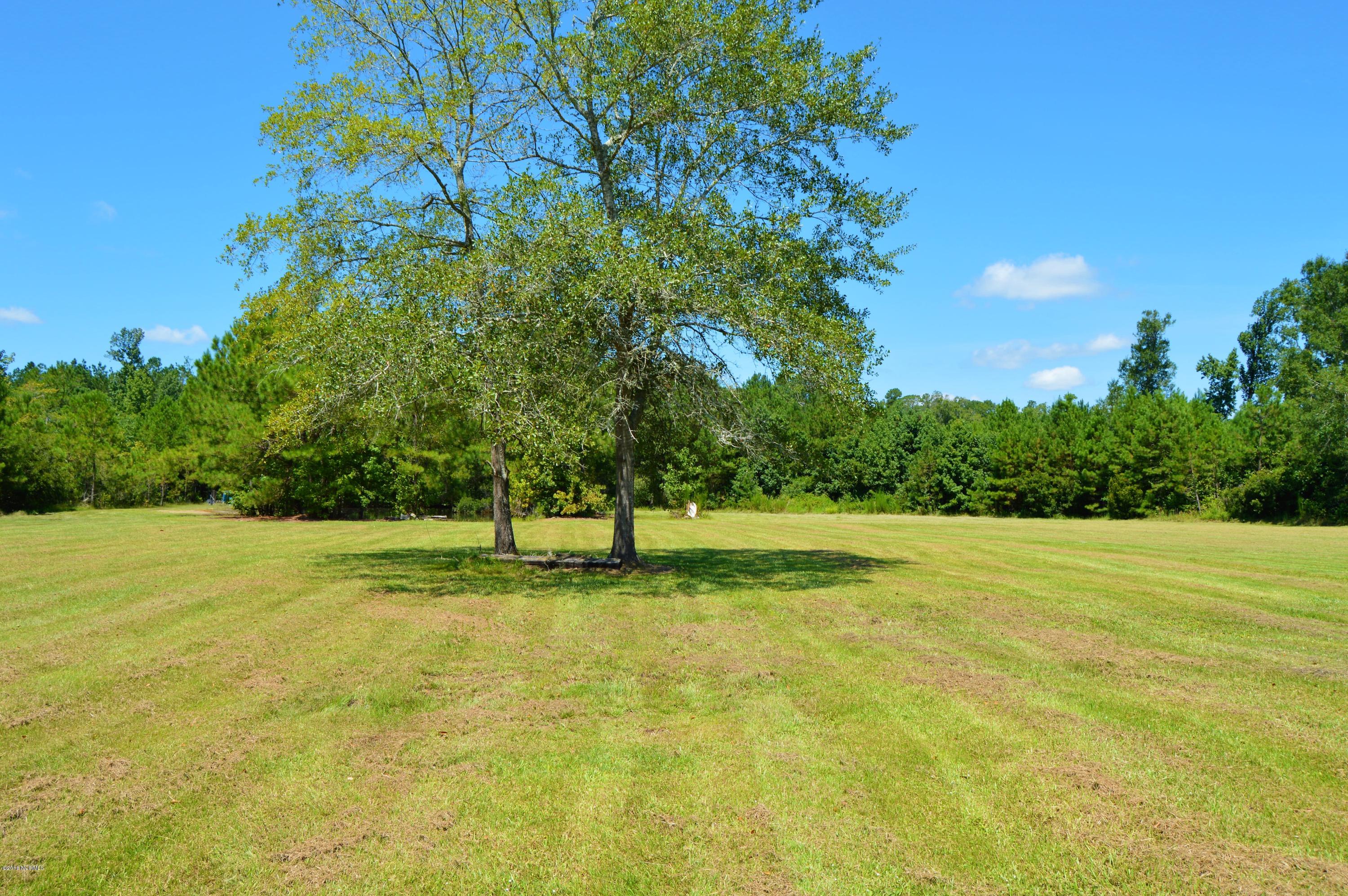 8804 Highsmith Road Rocky Point, NC 28457 - Photo 27 of 38 back yard 1