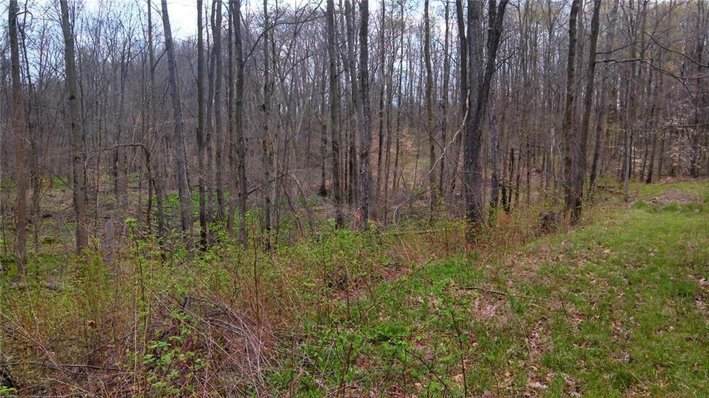 0 West Gilmore Road Grove City, PA 16127 - Photo 2 of 5 Gallery Image 2