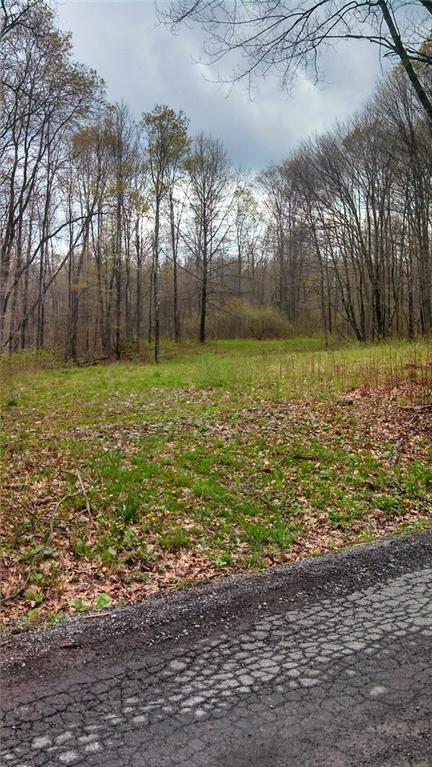 0 West Gilmore Road Grove City, PA 16127 - Photo 5 of 5 Gallery Image 5