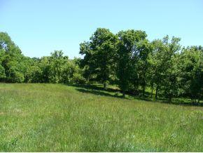 4560 Vineyard Road Madison, IN 47250 - Photo 9 of 11