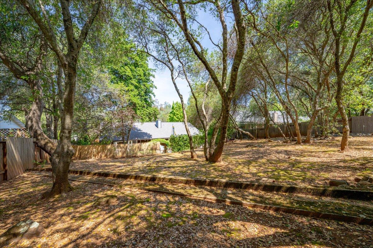 2971 Windsor Court Rescue, CA 95672 - Photo 60 of 78