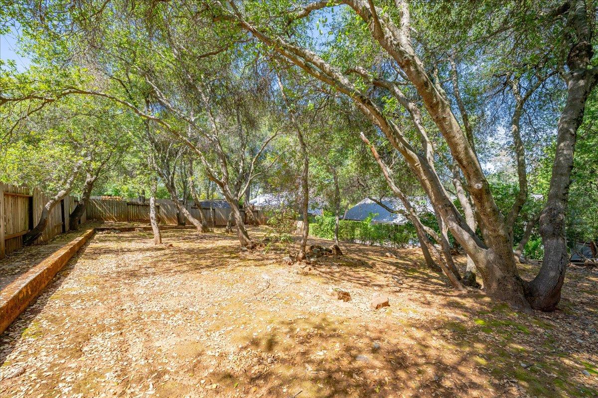 2971 Windsor Court Rescue, CA 95672 - Photo 61 of 78
