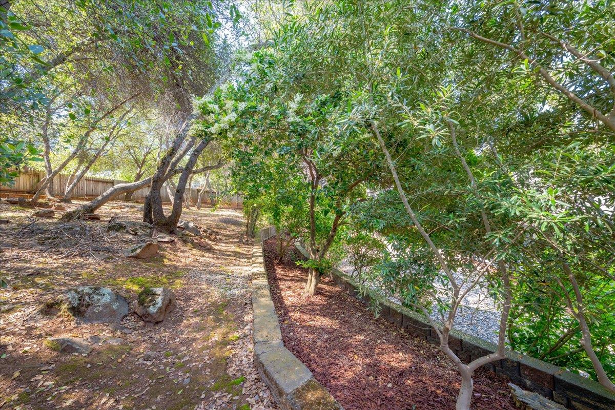 2971 Windsor Court Rescue, CA 95672 - Photo 63 of 78