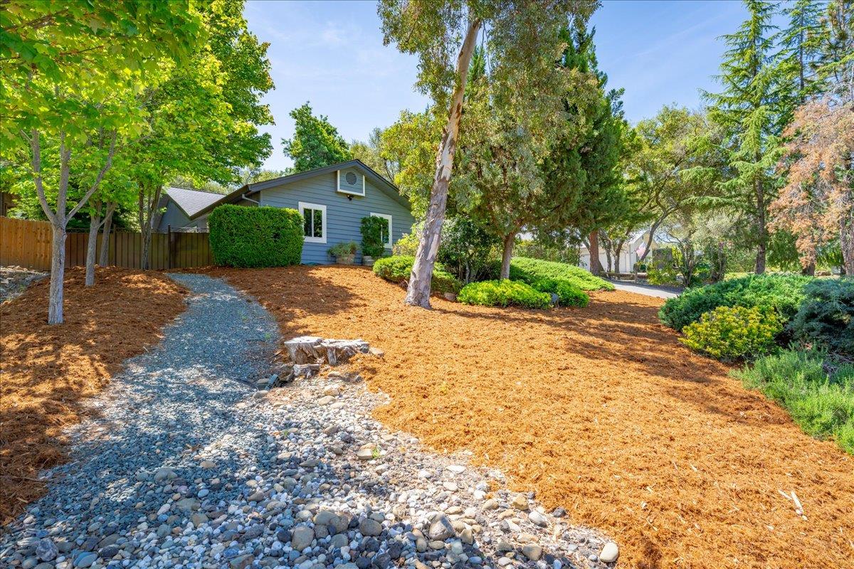 2971 Windsor Court Rescue, CA 95672 - Photo 65 of 78