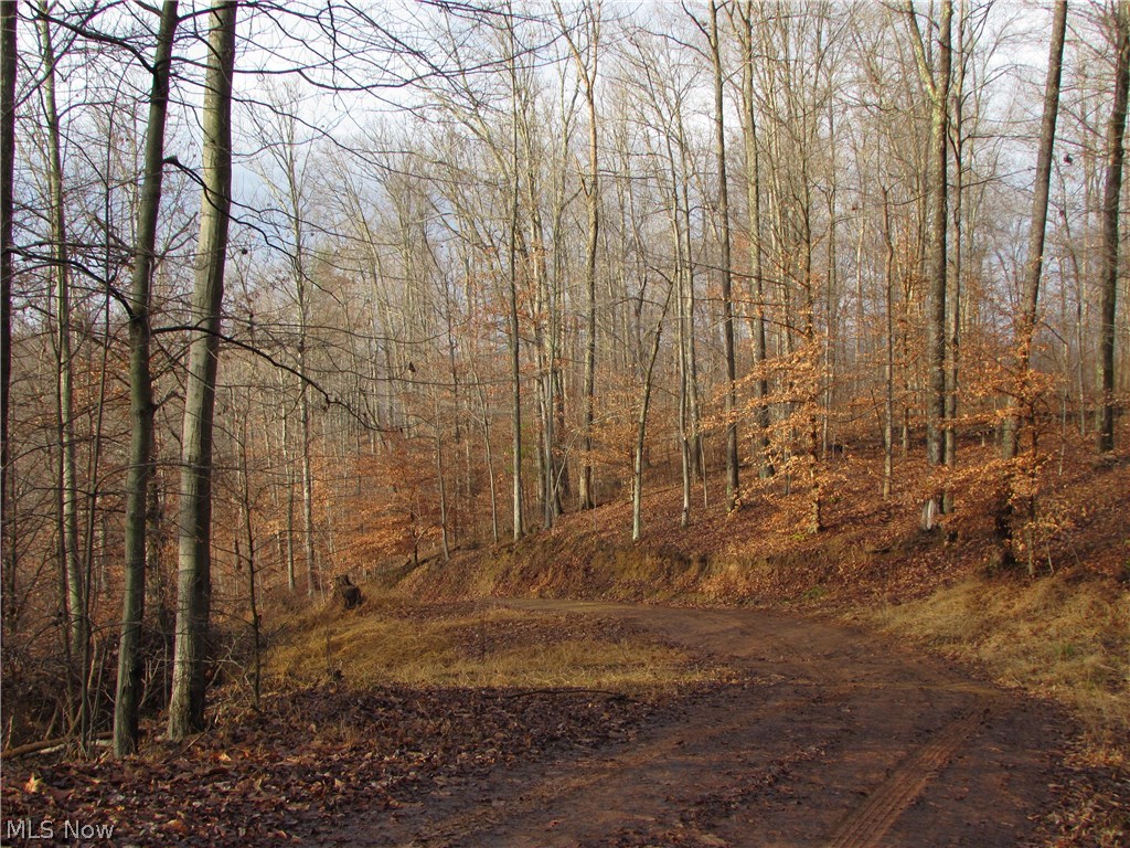 2485 Bunnells Run Road Harrisville, WV 26362 - Photo 1 of 6 Gallery Image 1