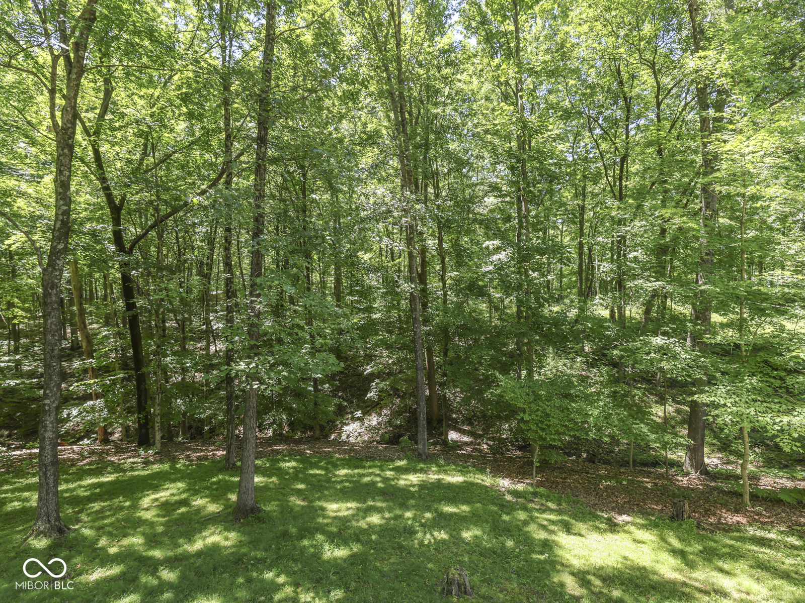 8194 Center Lake Road Nineveh, IN 46164 - Photo 21 of 74