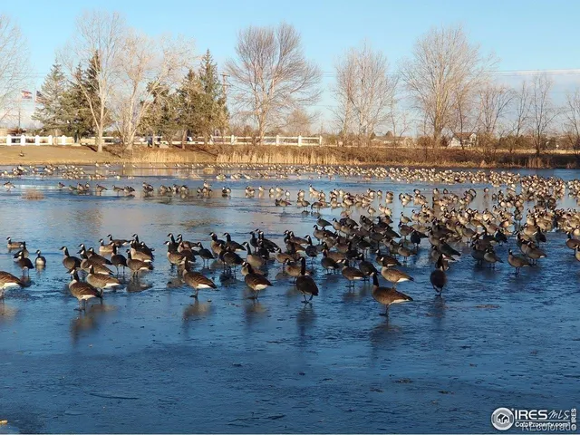 $169,900 | 3420 Black Hills, Longmont, CO 80504